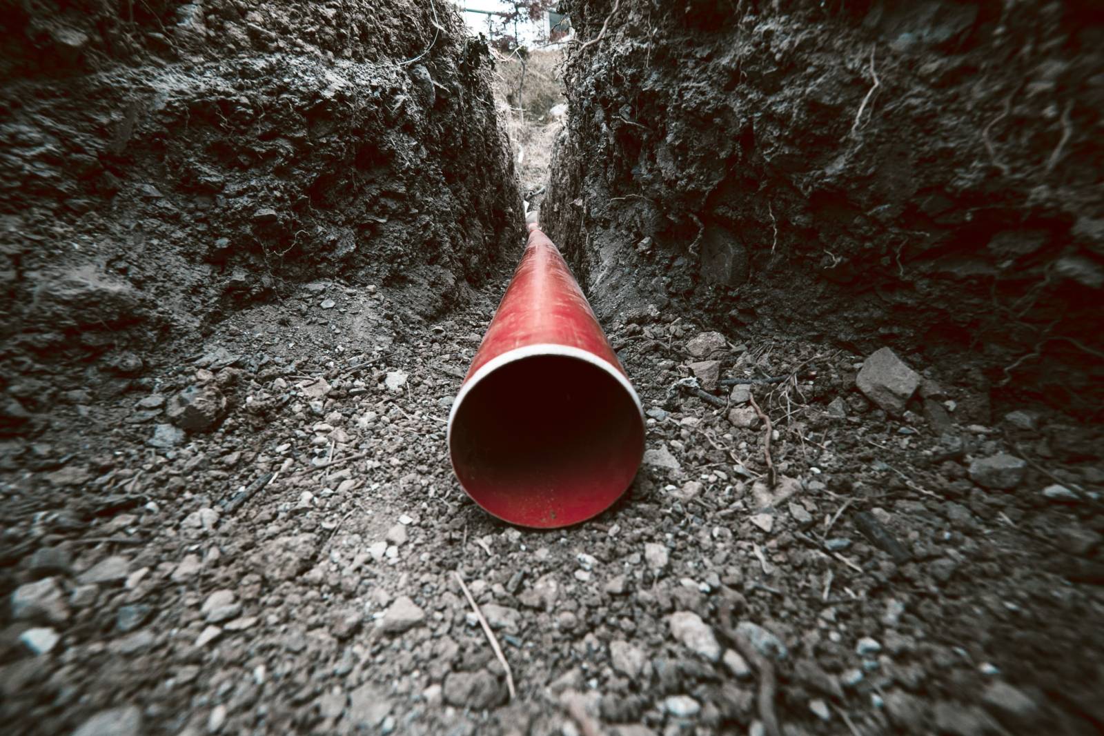 Inspection vidéo/Détection d'odeurs